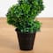5ft. UV-Resistant Boxwood Spiral Topiary Artificial Tree in Decorative Planter